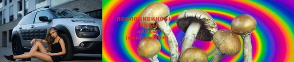 молекула духа Алексеевка