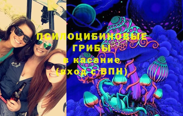 молекула духа Алексеевка