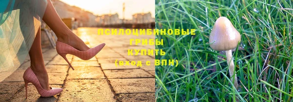 молекула духа Алексеевка