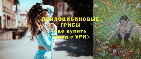 тгк Алексин